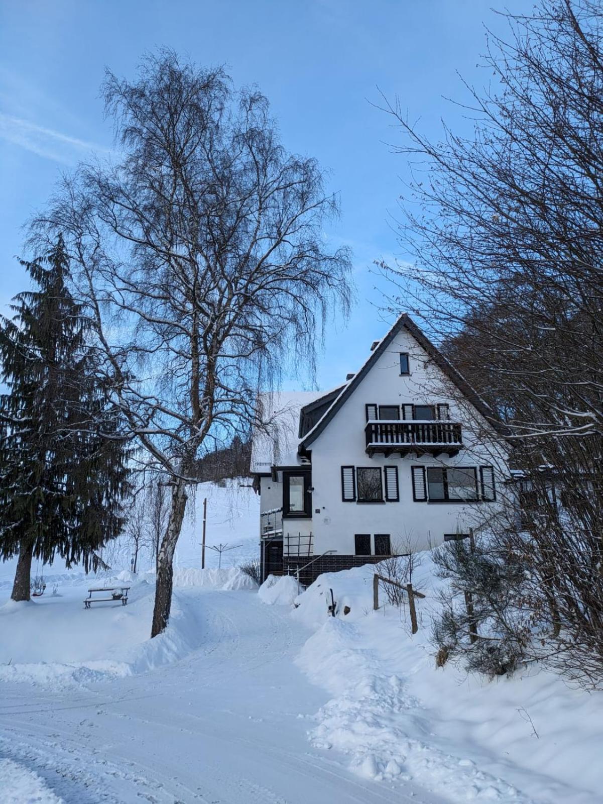 Ferienwohnung Im Hambach Bad Berleburg Extérieur photo
